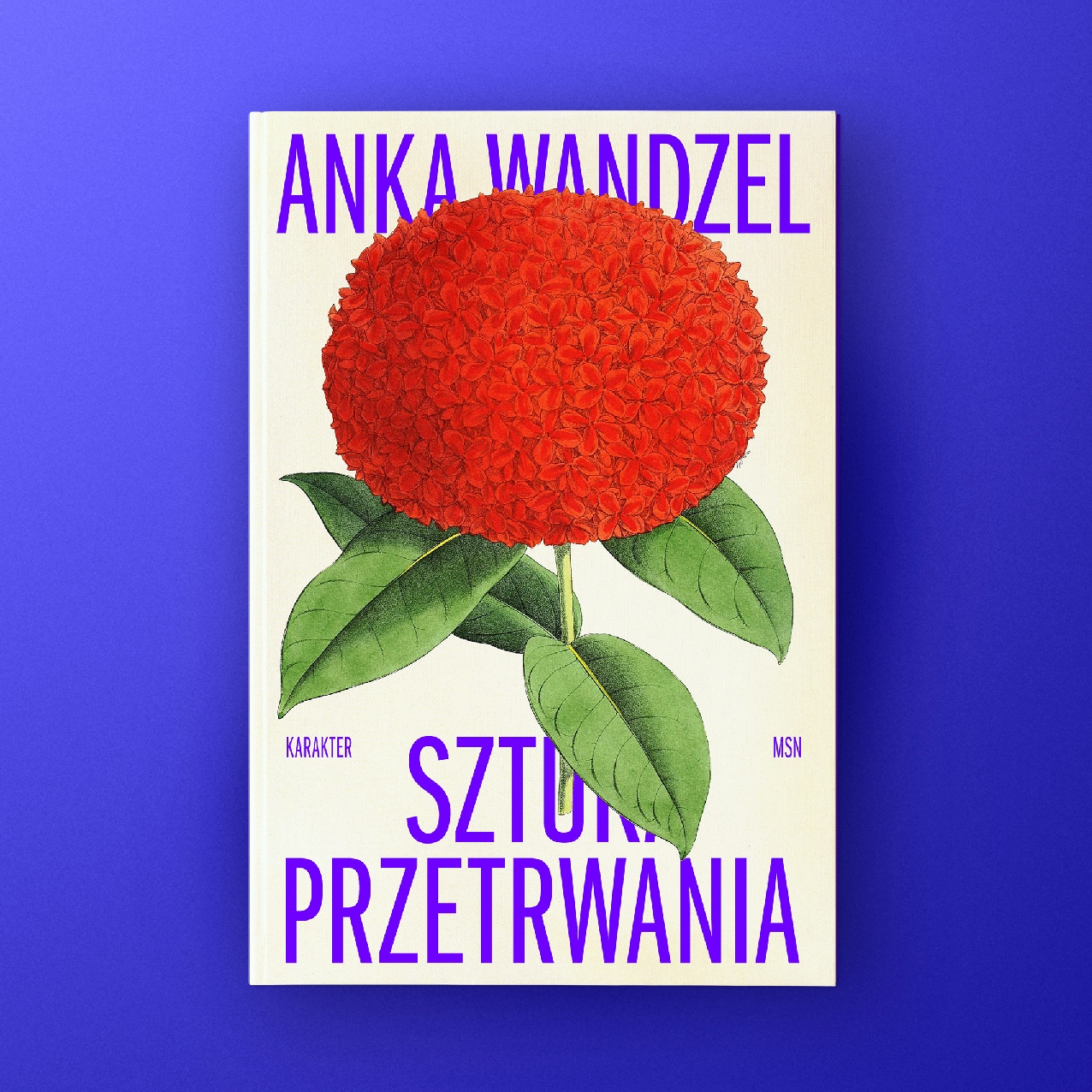 Pierwszy przykładowy wpis na blog