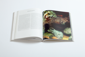 Decydujący moment. Nowe zjawiska w fotografii polskiej po 2000 roku