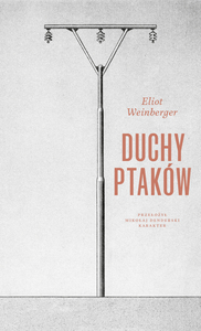 Duchy ptaków