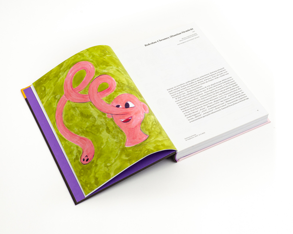 Nówka sztuka. Młoda polska ilustracja