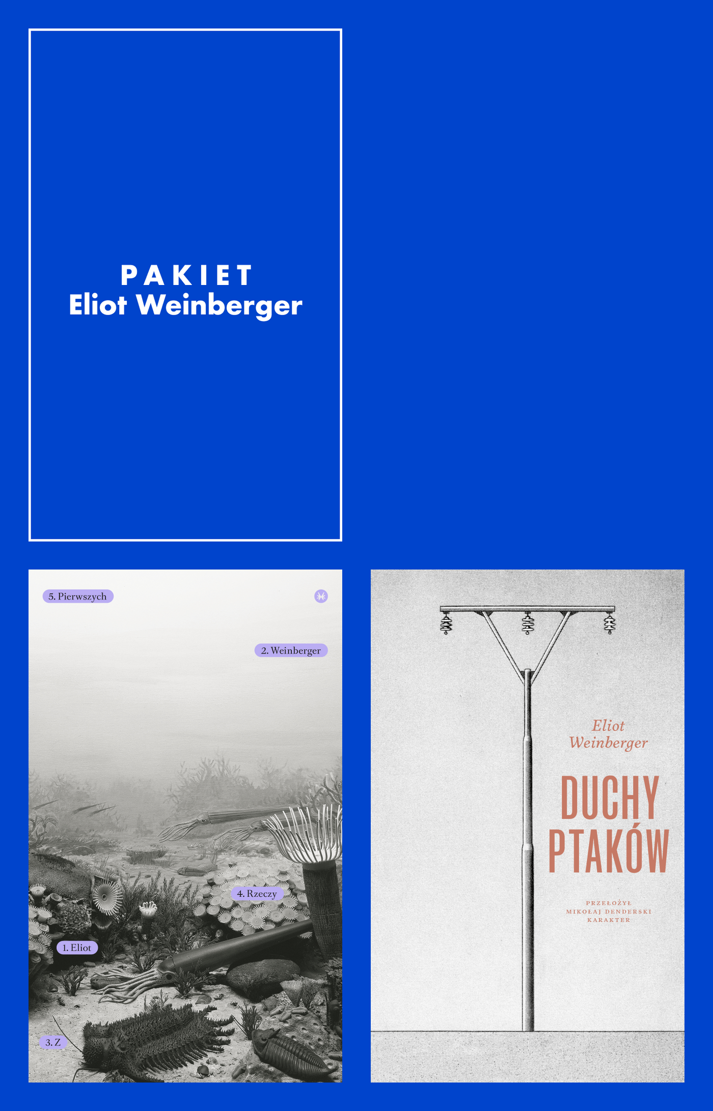 Pakiet: Duchy ptaków, Z rzeczy pierwszych