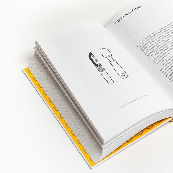 User Friendly. Jak niewidoczne zasady projektowania zmieniają nasze życie, pracę i rozrywkę