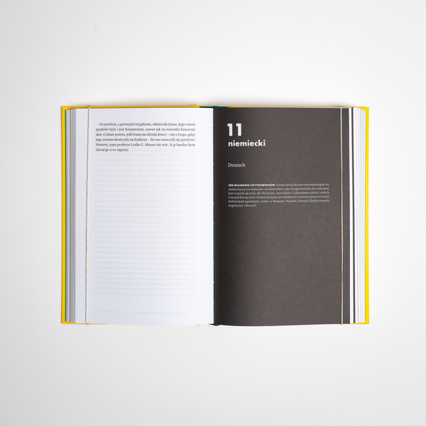 Babel. W dwadzieścia języków dookoła świata