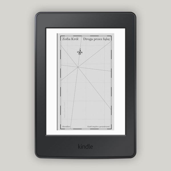 Droga przez łąkę. Sześć esejów o przestrzeni